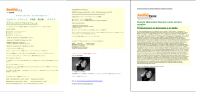 /album/rassegna-stampa/articolo-in-lingua-giapponese-con-traduzione-in-italiano-png/
